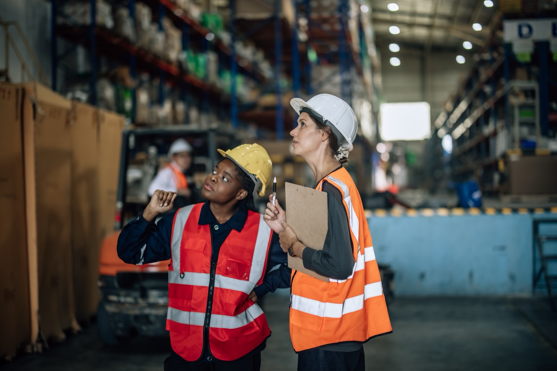 Employment support for TCL members